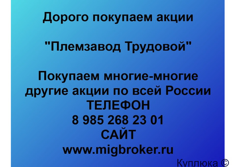 Купим акции «Племзавод Трудовой»