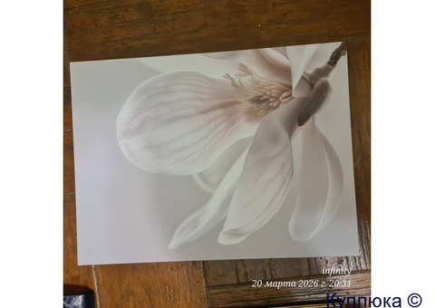 Картины для декора ищут новый дом!