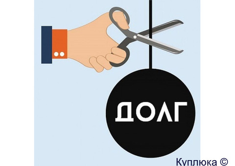 Профессиональная помощь в банкротстве физических лиц