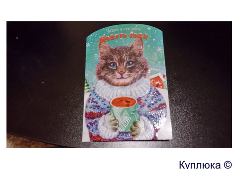 Куплю новогодний пакет с котом