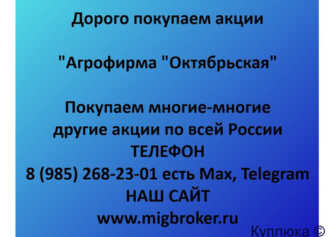 Купим акции «Агрофирма Октябрьская»