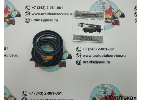 Ремкомплект г/ц. выдвижения стрелы ПСКБМ-1