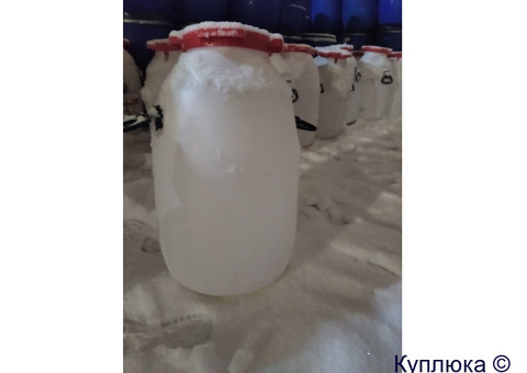 Бочка ( бидон ) 50л