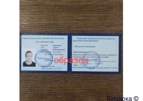Дипломы, повышение квалификации, корочки