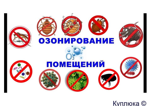 Удаление запахов в авто