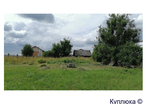 Окос газона, травы, бурьяна, кронирование кустарников