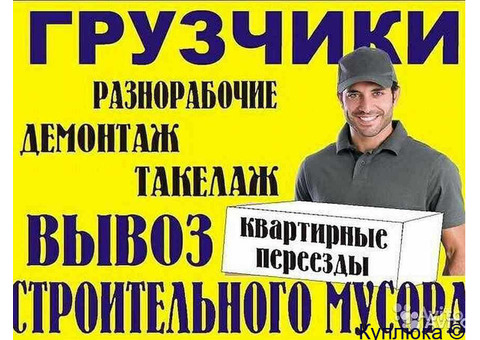 Грузчик-Разнорабочий