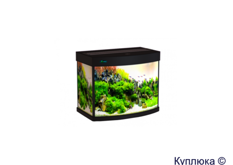 Аквариумы, террариумы, рыбки Seaprice