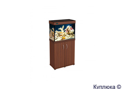 Аквариумы, террариумы, рыбки Seaprice