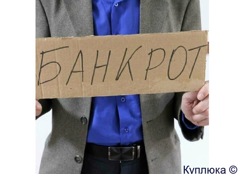 Помощь юриста в процедуре банкротства физического лица