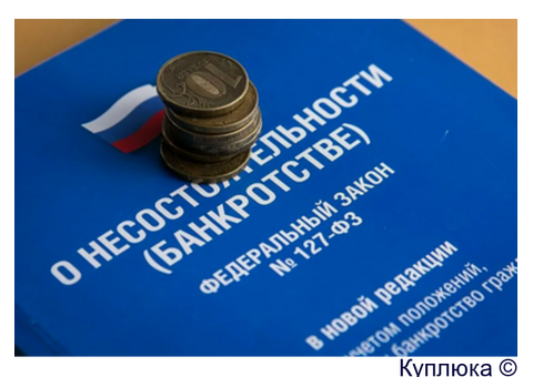 Банкротство, списание долгов, отмена судебных приказов-арестов.