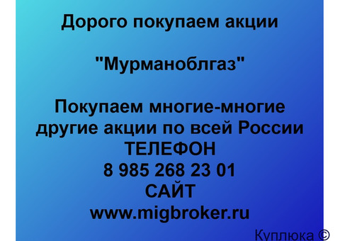 Покупка акций «Мурманоблгаз»