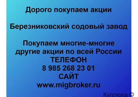Купим акции «Березниковский содовый завод»