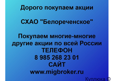 Купим акции «СХАО Белореченское»